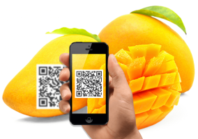 DỊch VỤ ĐĂng KÝ MÃ Qr Code Cho SẢn PhẨm